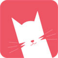 猫咪软件app下载免费